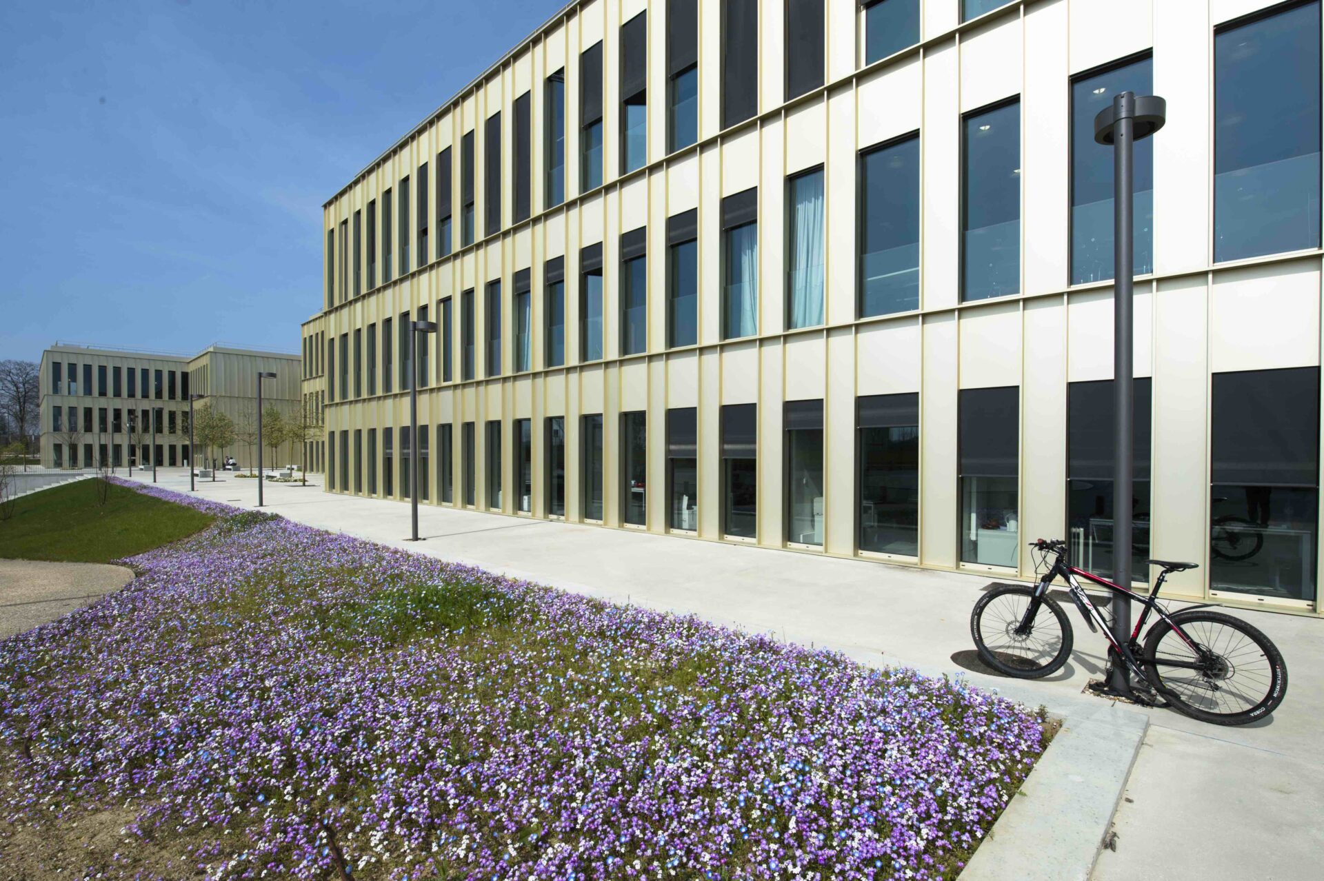 HEC paris